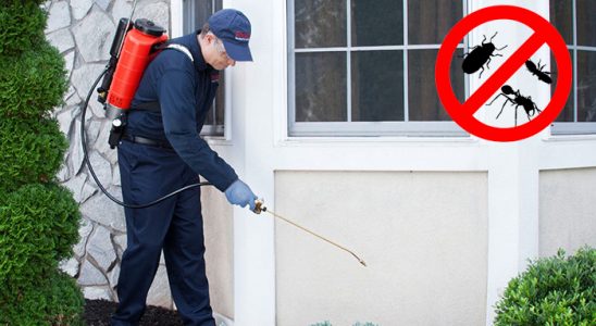 Odunpazarı Bit İlaçlama böcek ilaçlama ve haşere kontrolü — ilaclama-tr.com